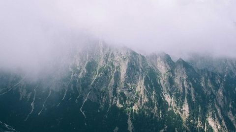 op script aimbot weapon spwnneand more - Universal script preview