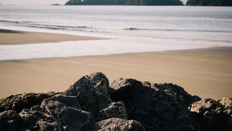 op script aimbot weapon spwnneand more - Universal script preview