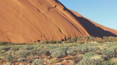 op script aimbot weapon spwnneand more - Universal script preview