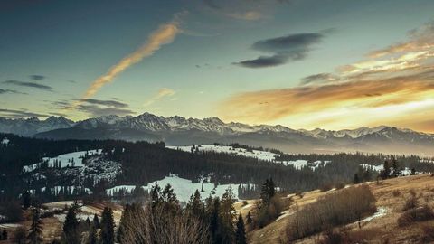 op script aimbot weapon spwnneand more - Universal script preview