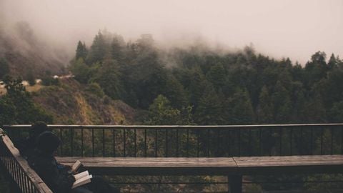 op script aimbot weapon spwnneand more - Universal script preview