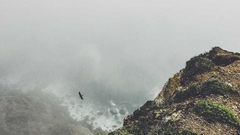 op script aimbot weapon spwnneand more - Universal script preview