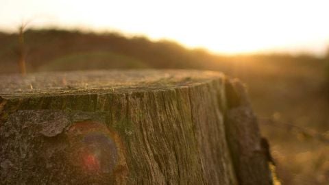 op script aimbot weapon spwnneand more - Universal script preview