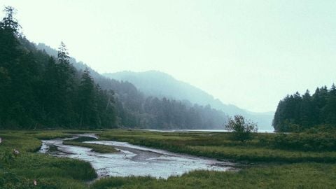 op script aimbot weapon spwnneand more - Universal script preview