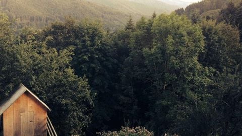 op script aimbot weapon spwnneand more - Universal script preview