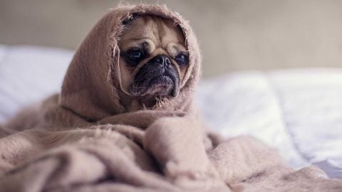 op script aimbot weapon spwnneand more - Universal script preview