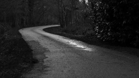 op script aimbot weapon spwnneand more - Universal script preview