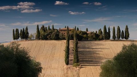 op script aimbot weapon spwnneand more - Universal script preview