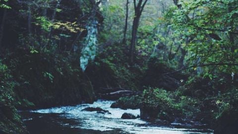 op script aimbot weapon spwnneand more - Universal script preview