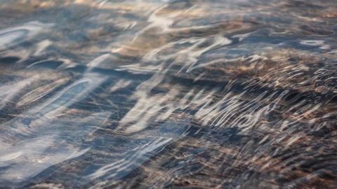 op script aimbot weapon spwnneand more - Universal script preview