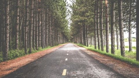 op script aimbot weapon spwnneand more - Universal script preview