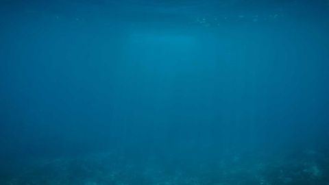 op script aimbot weapon spwnneand more - Universal script preview