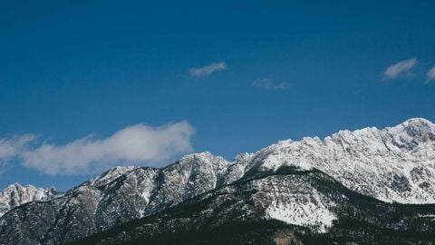 op script aimbot weapon spwnneand more - Universal script preview