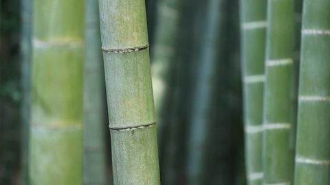 op script aimbot weapon spwnneand more - Universal script preview