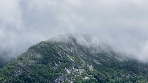 op script aimbot weapon spwnneand more - Universal script preview