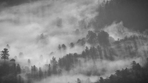 op script aimbot weapon spwnneand more - Universal script preview