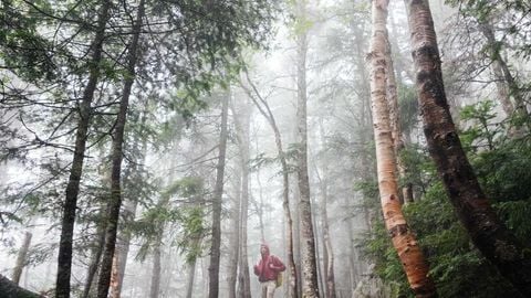 op script aimbot weapon spwnneand more - Universal script preview