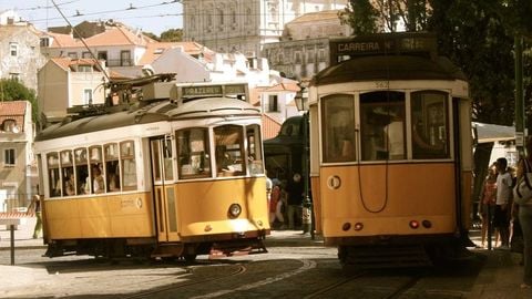 op script aimbot weapon spwnneand more - Universal script preview