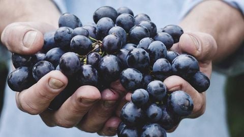 op script aimbot weapon spwnneand more - Universal script preview