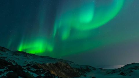 op script aimbot weapon spwnneand more - Universal script preview