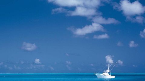 op script aimbot weapon spwnneand more - Universal script preview