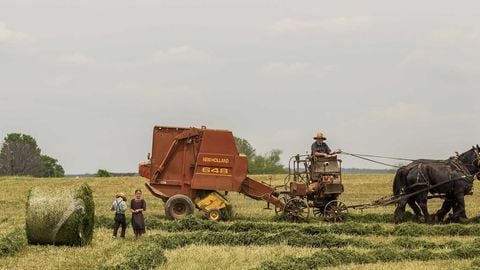 op script aimbot weapon spwnneand more - Universal script preview