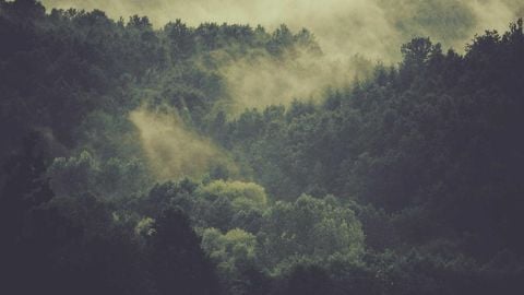 op script aimbot weapon spwnneand more - Universal script preview