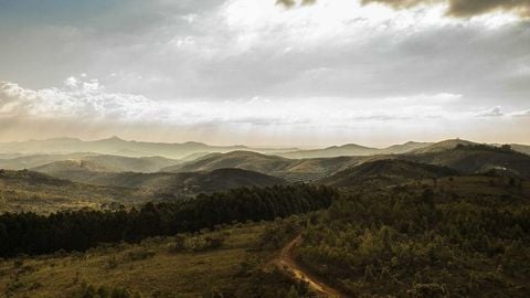 op script aimbot weapon spwnneand more - Universal script preview