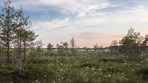 op script aimbot weapon spwnneand more - Universal script preview