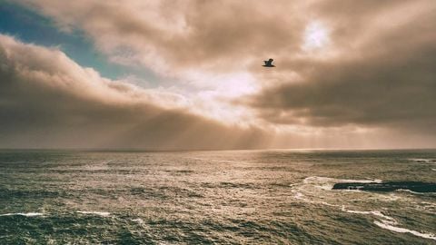 op script aimbot weapon spwnneand more - Universal script preview