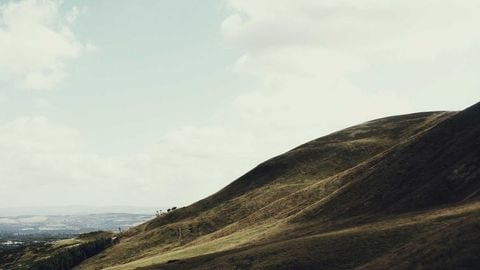 op script aimbot weapon spwnneand more - Universal script preview