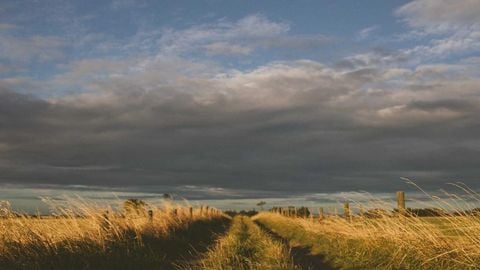 op script aimbot weapon spwnneand more - Universal script preview