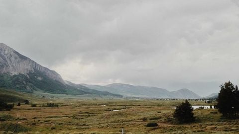 op script aimbot weapon spwnneand more - Universal script preview