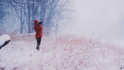 op script aimbot weapon spwnneand more - Universal script preview