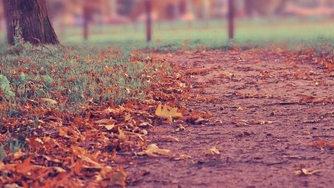 op script aimbot weapon spwnneand more - Universal script preview