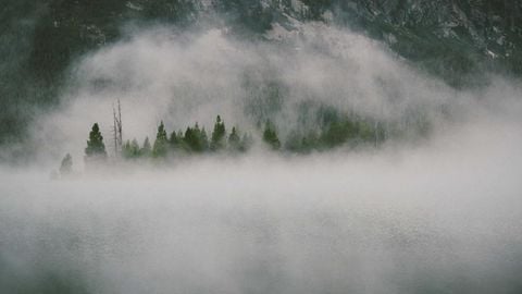 op script aimbot weapon spwnneand more - Universal script preview