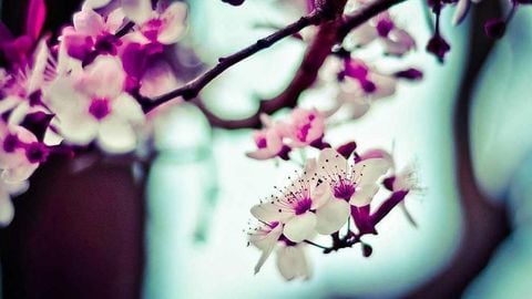 op script aimbot weapon spwnneand more - Universal script preview