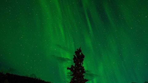 op script aimbot weapon spwnneand more - Universal script preview