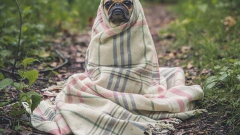 op script aimbot weapon spwnneand more - Universal script preview