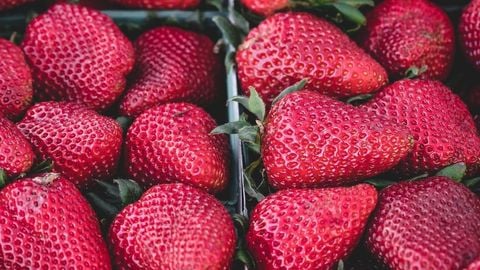 op script aimbot weapon spwnneand more - Universal script preview