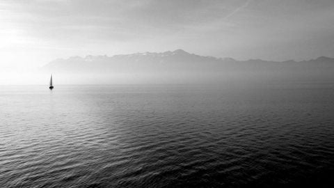 op script aimbot weapon spwnneand more - Universal script preview