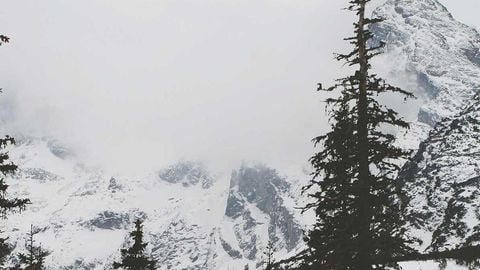 op script aimbot weapon spwnneand more - Universal script preview