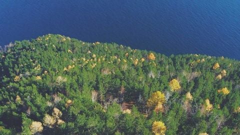 op script aimbot weapon spwnneand more - Universal script preview