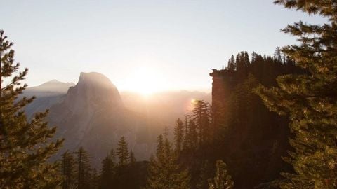 op script aimbot weapon spwnneand more - Universal script preview