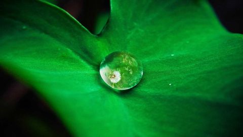 op script aimbot weapon spwnneand more - Universal script preview