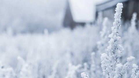 op script aimbot weapon spwnneand more - Universal script preview