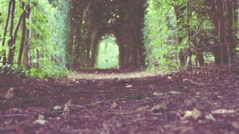 op script aimbot weapon spwnneand more - Universal script preview