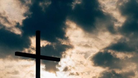 op script aimbot weapon spwnneand more - Universal script preview