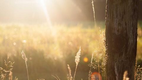 op script aimbot weapon spwnneand more - Universal script preview