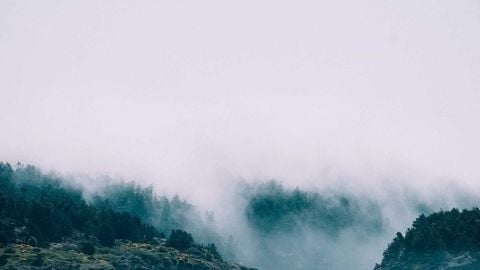 op script aimbot weapon spwnneand more - Universal script preview